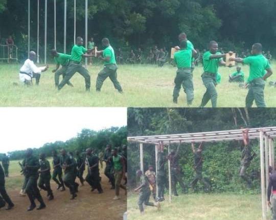 Forest guards will now be armed - Forestry Commission | The Ghana Report