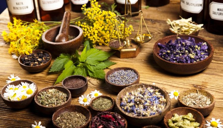 WHO supports scientifically-proven traditional medicine