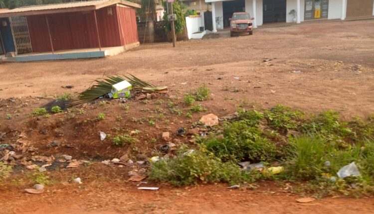 Taming reckless littering in Accra: The way out