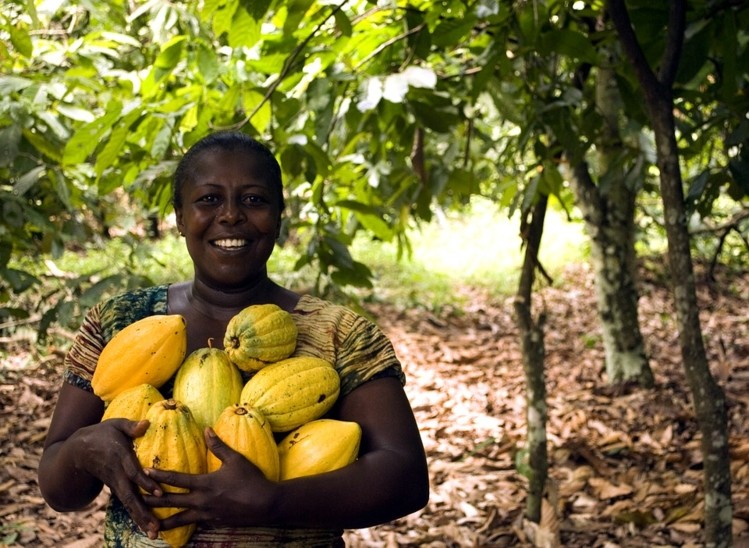 Cocoa Farmers’ Pension Scheme to kick off in Assin enclave