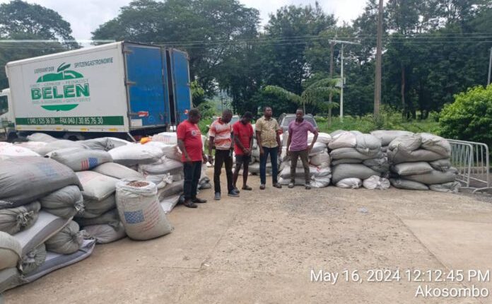 Intercepted cocoa beans