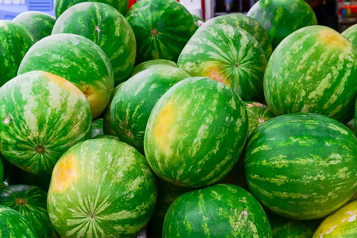 How to tell if a watermelon is ripe before buying