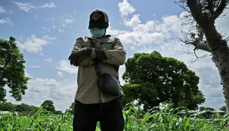 Michael Mvondo / BBC