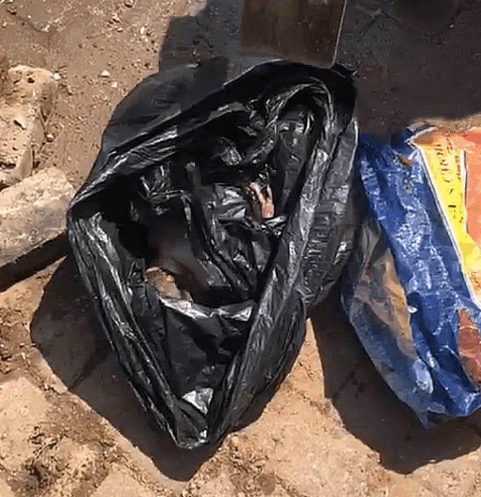 Newborn dumped in Tema Community 1 sewage tunnel