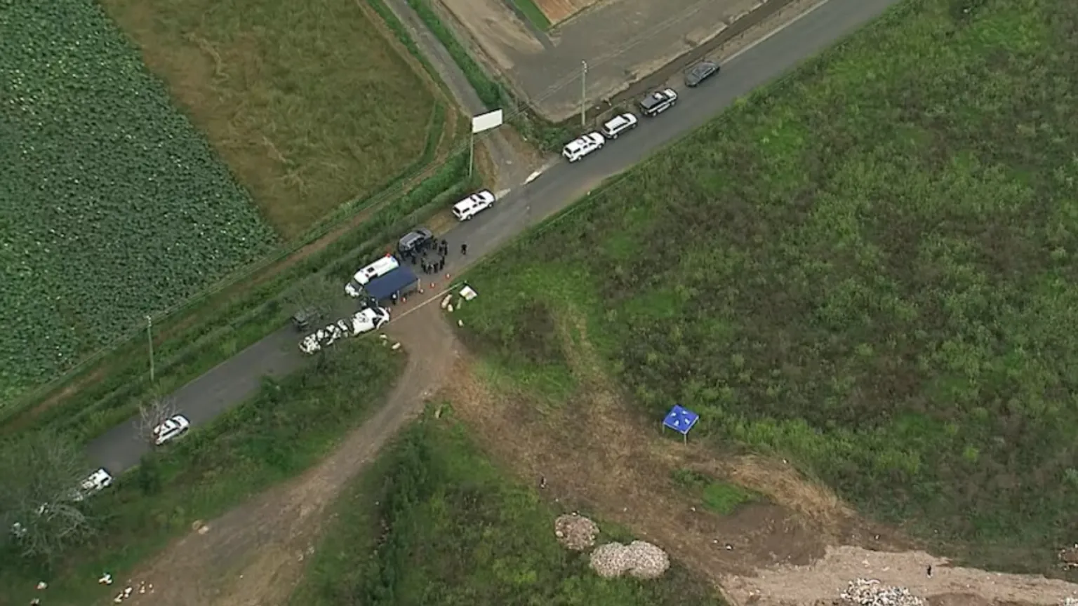 Remains found in search for Sydney grandpa ‘kidnapped by mistake’