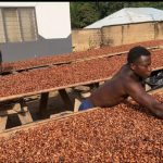 COCOBOD
