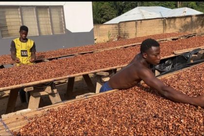 COCOBOD
