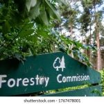 Forestry Commission.