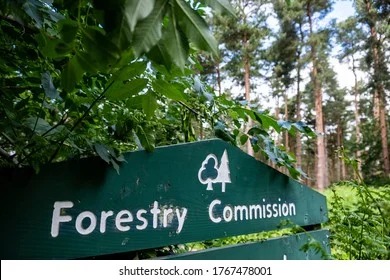 Forestry Commission.