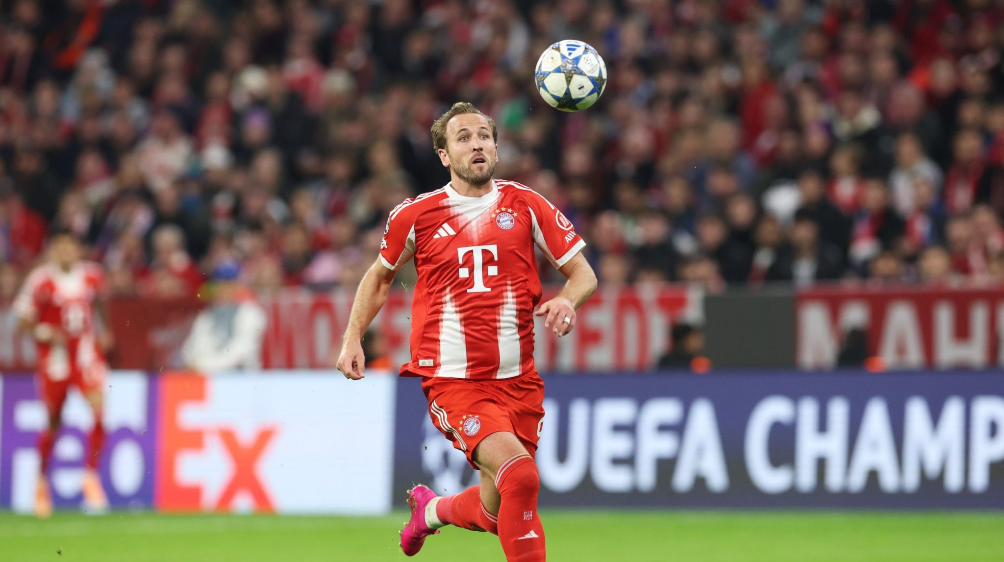 Harry Kane