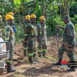 Ghana Armed Forces