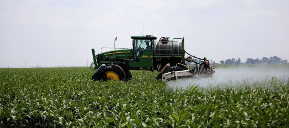 IEA calls for agriculture-led economic growth to tackle youth unemployment
