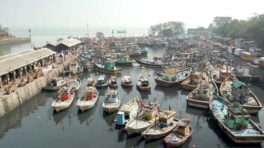 Fisheries