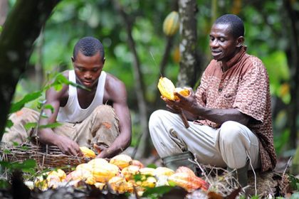 COCOA FARMERS