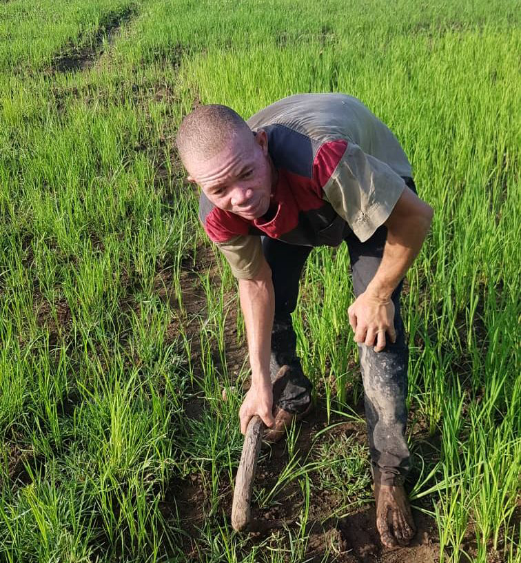 Awambire Nyaaba Micuw "Ayellow" in his rice field