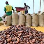 cocoa