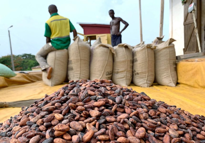 cocoa